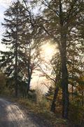 Dsc 8555