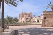 ../galleries/2024.03.27_Urlaub_Mallorca_-_Tag_4_-_Soller,_Palma,_Leuchtturm_am_Cap_de_Formentor/DSC_1473.thumbnail.jpg