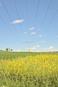 ../galleries/2025.05.12_Wanderung_Niederrod/DSC_5031.thumbnail.jpg